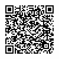 QR Code für Museumsnacht Zwickau